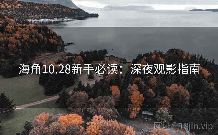 海角10.28新手必读：深夜观影指南