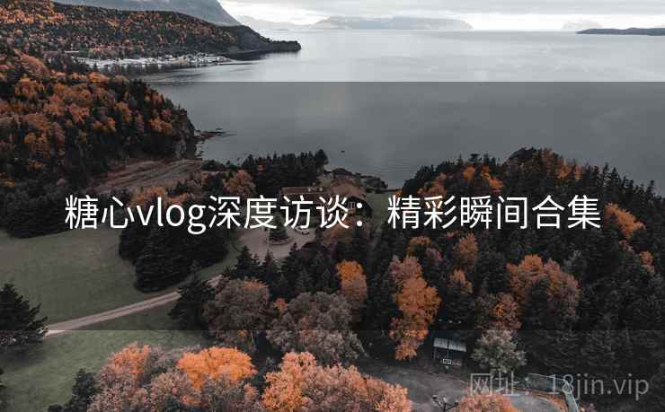 糖心vlog深度访谈：精彩瞬间合集